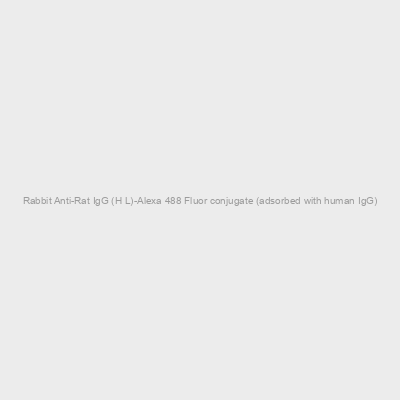 Rabbit Anti-Rat IgG (H+L)-Alexa 488 Fluor conjugate (adsorbed with human IgG)